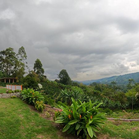 Ecohotel Entrebosques サレント エクステリア 写真